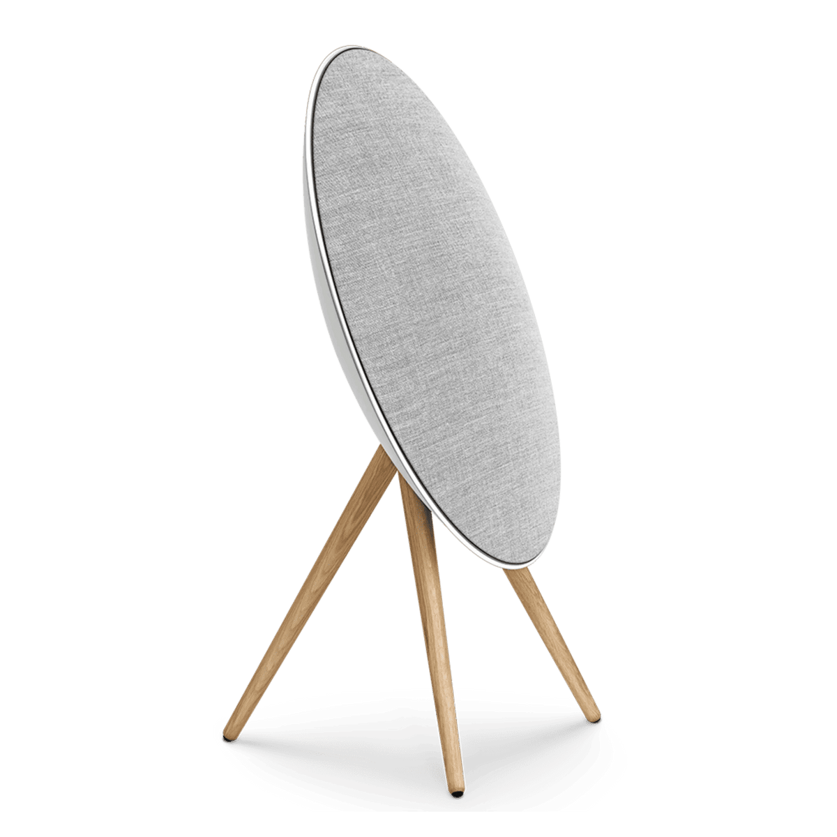Bang & Olufsen Beosound A9 (5th Generation) - Natural Aluminium