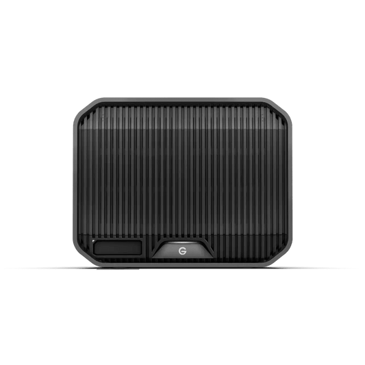 SanDisk Professional G-RAID PROJECT 2 - 36TB